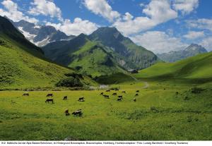 alpine lodge klosterle am arlberg