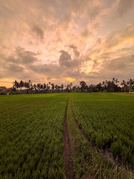 sierra vista 1 ubud