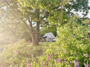 Portage Lakeside Cabins,,2 star