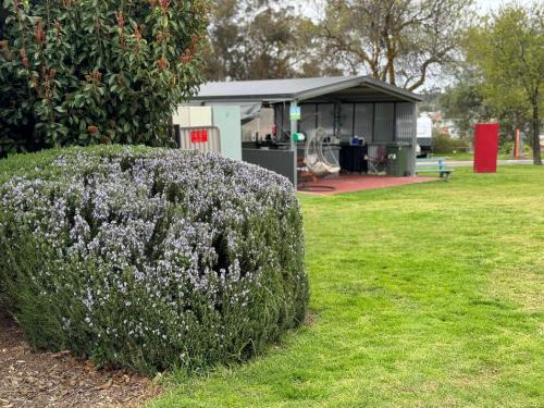 st arnaud caravan park