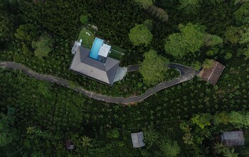 camelia ranch