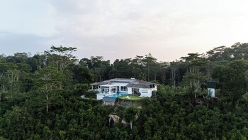 camelia ranch