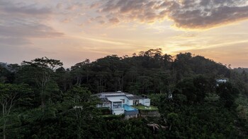 camelia ranch