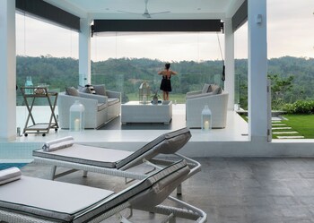 camelia ranch