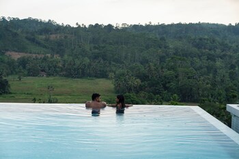 camelia ranch