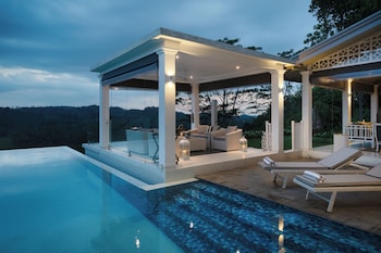 camelia ranch