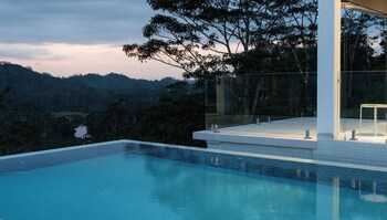 camelia ranch