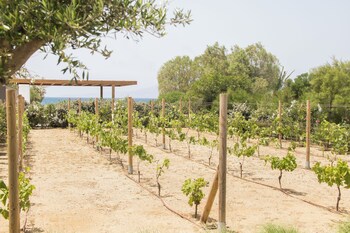 ammilia villa naxos