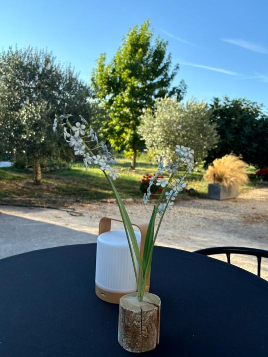 le domaine de darvoy