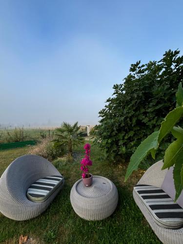 le domaine de darvoy