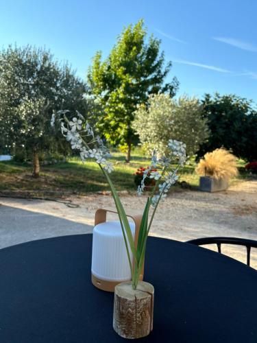 le domaine de darvoy