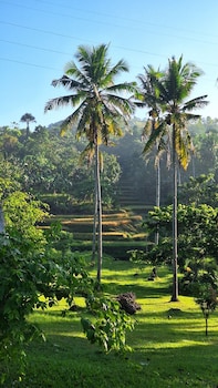 asuneus farm