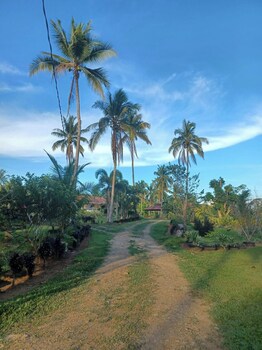 Asuneus Farm,,3 star
