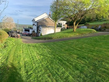 Broombush,,3 star