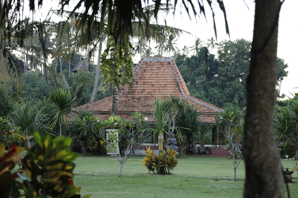 pondok pitaya hotel surfing and yoga