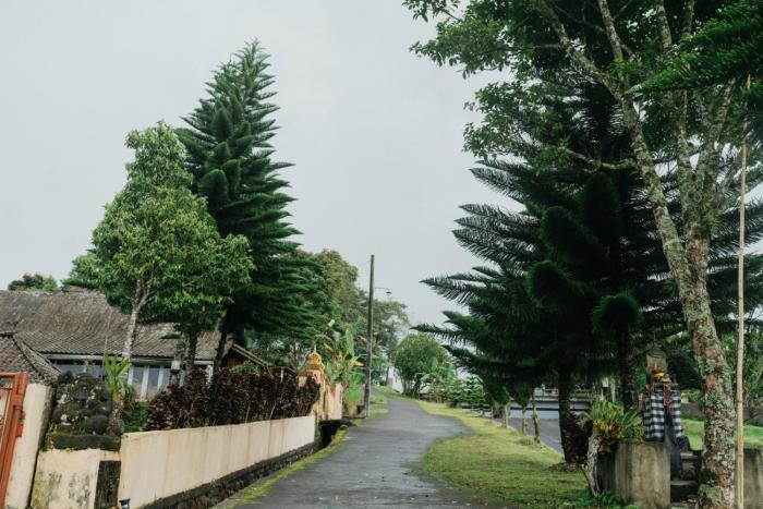 tunjung sari villa bedugul