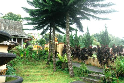 tunjung sari villa bedugul