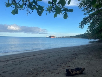 perla pacifico