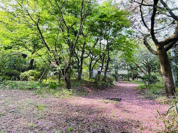 kaederesort kinugawaonsen