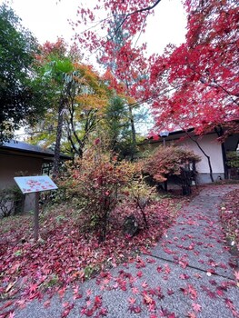 kaederesort kinugawaonsen