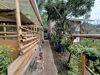 casa tien