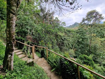 casa tien