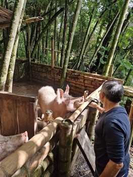 casa tien