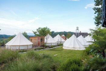 dalart glamping and coffee