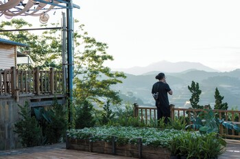 dalart glamping and coffee