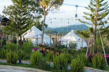 dalart glamping and coffee