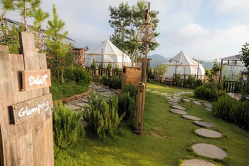 dalart glamping and coffee
