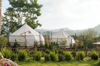 dalart glamping and coffee