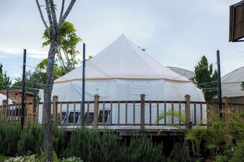 dalart glamping and coffee