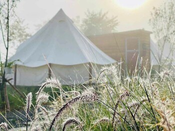 dalart glamping and coffee