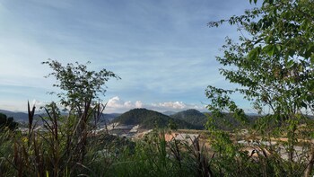 dalart glamping and coffee