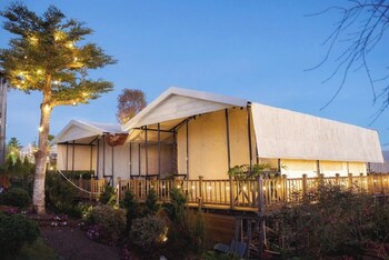 dalart glamping and coffee