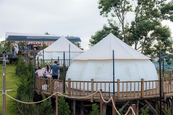 dalart glamping and coffee