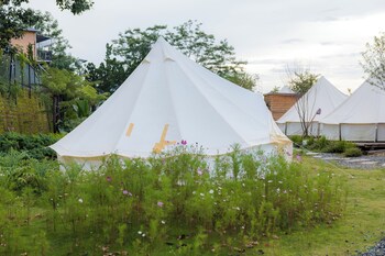 dalart glamping and coffee