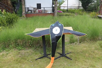 dalart glamping and coffee