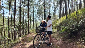 dalart glamping and coffee