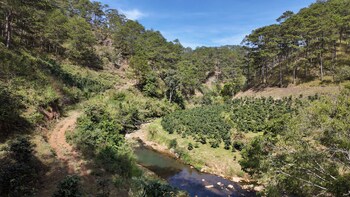 dalart glamping and coffee
