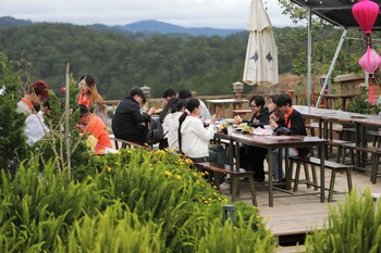 dalart glamping and coffee