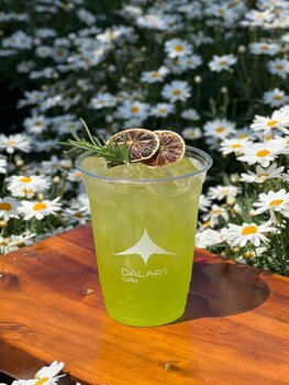 dalart glamping and coffee