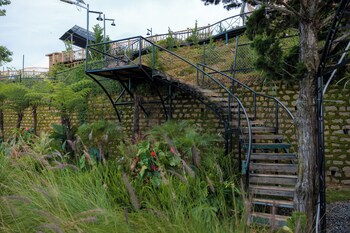 dalart glamping and coffee