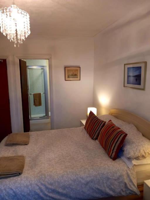 regis lodge guesthouse