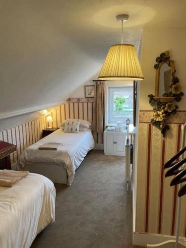regis lodge guesthouse