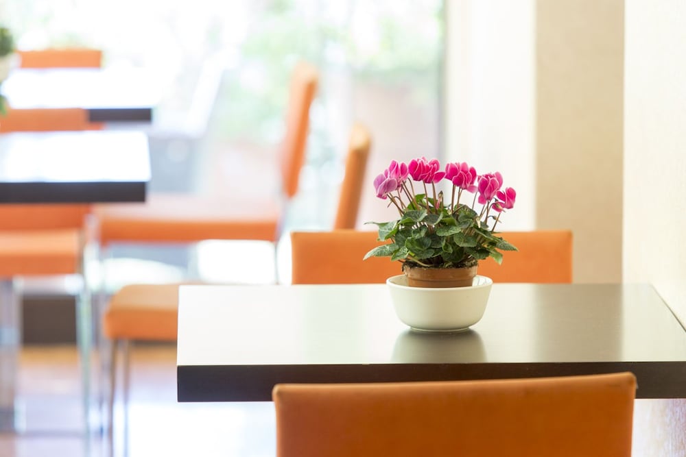 hotel palace del conero