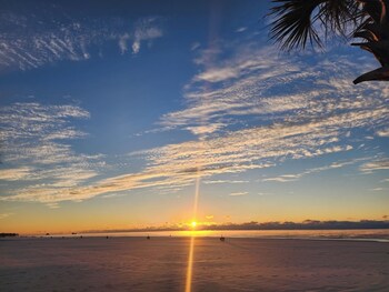 beachview 312