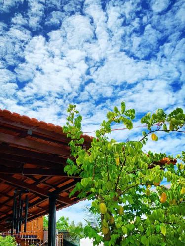 phan thiet