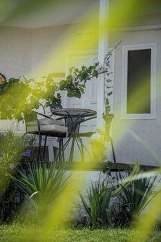 lilium rooms
